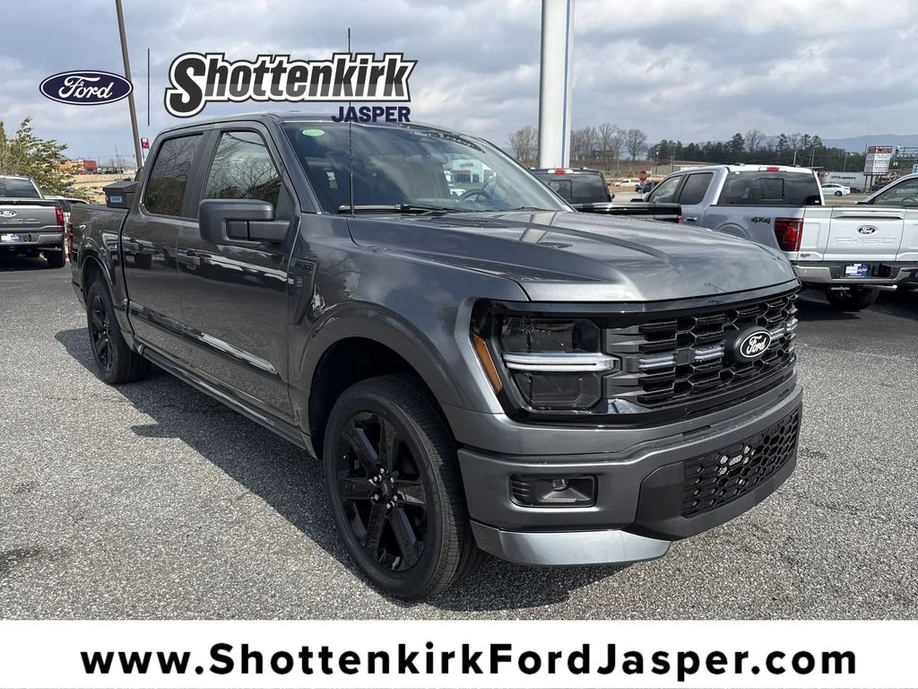 New 2026 Gray Ford STX image 1