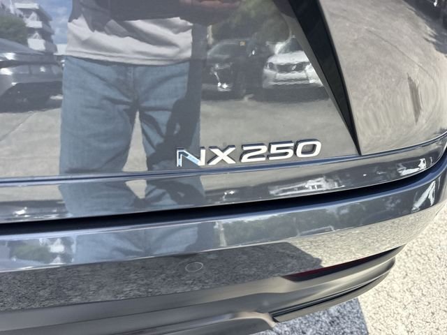 Certified Used 2025 Gray Lexus 250 Premium image 25
