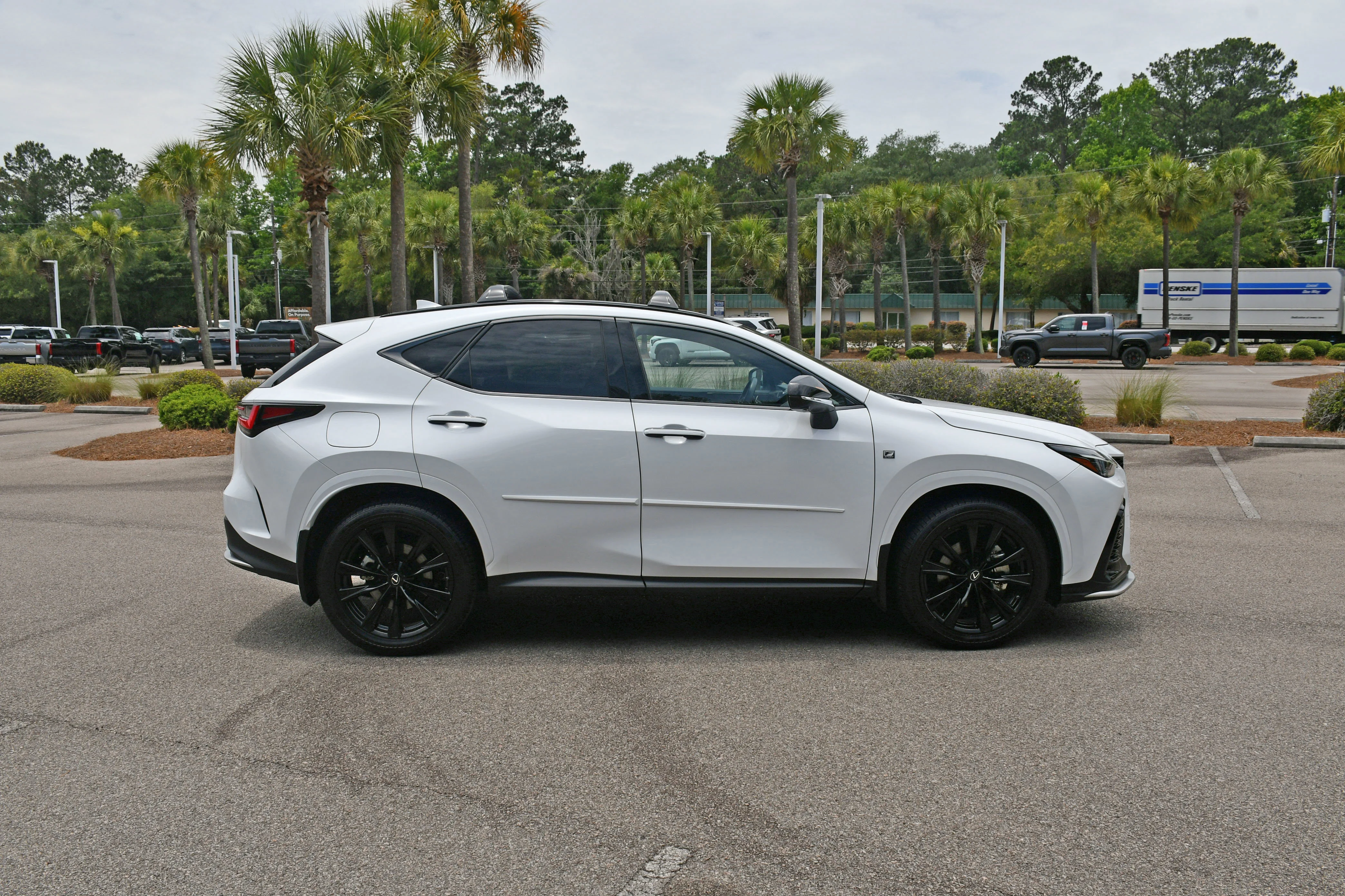 2023 Lexus NX 450h+ 450+ F-Sport AWD's photo