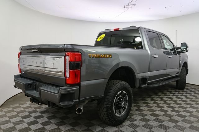 Used 2023 Gray Ford Platinum image 12