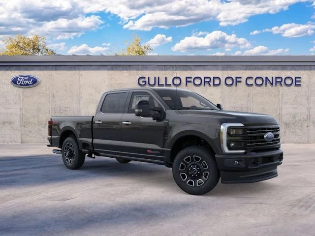 New 2026 Agate Black Metallic Ford Platinum image 8