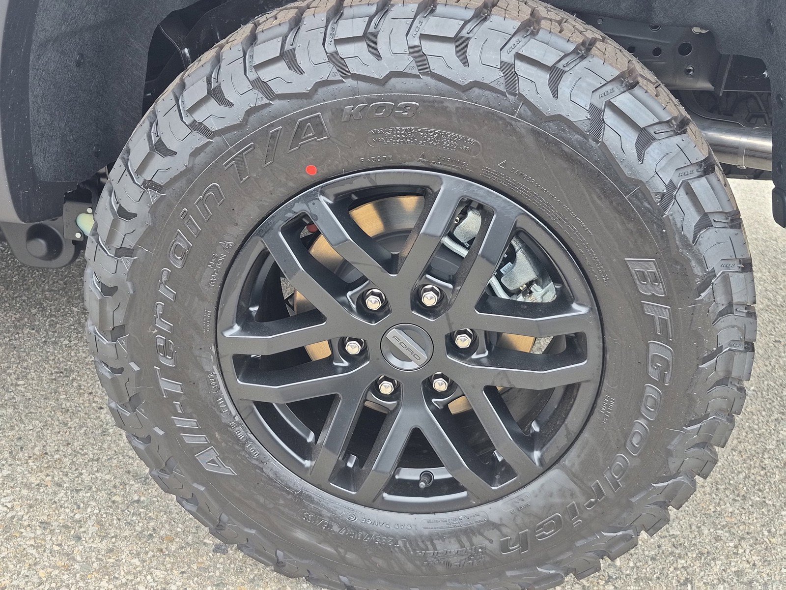 New 2026 Avalanche Ford Raptor® image 18