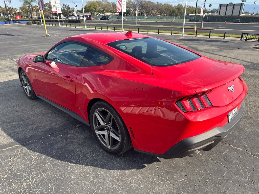 Used 2025 Race Red Ford EcoBoost image 6