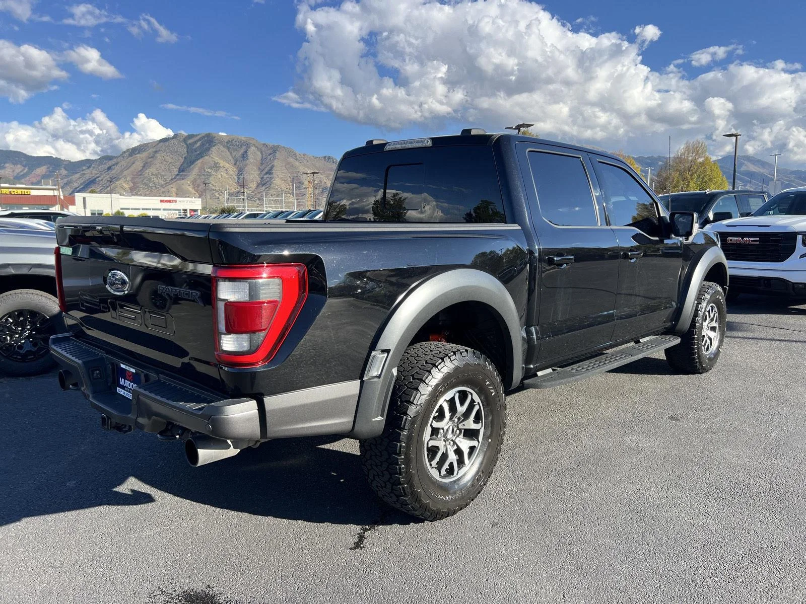 2022 Ford F-150 Raptor - Photo 11