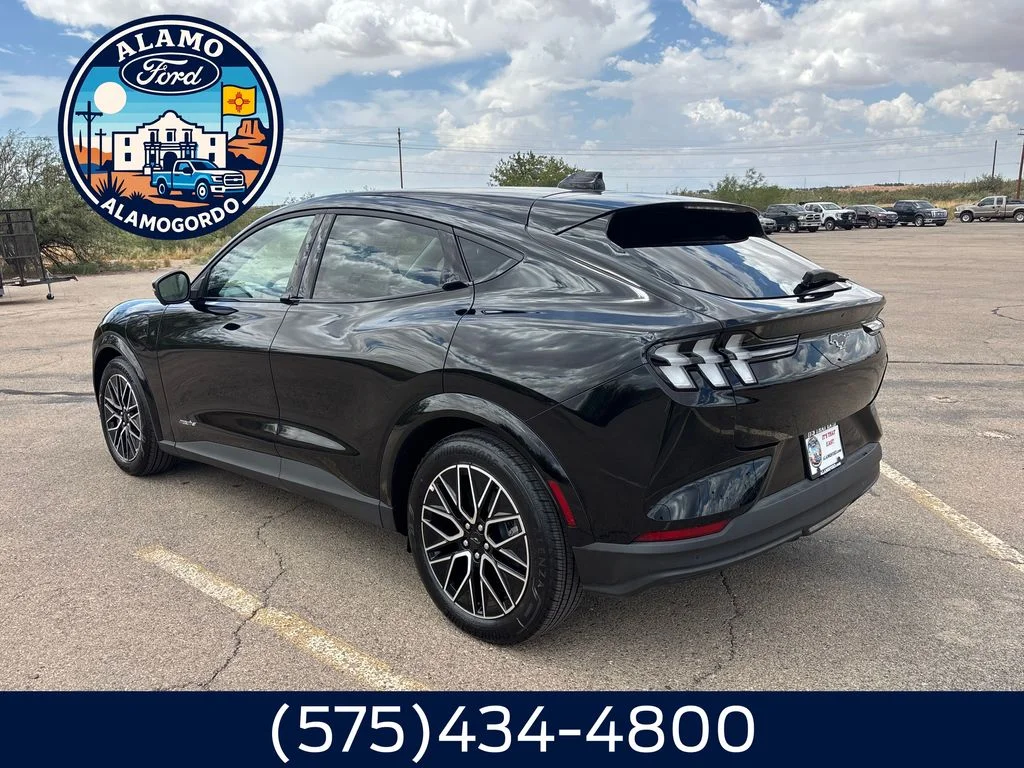 New 2026 Shadow Black Ford Premium image 3