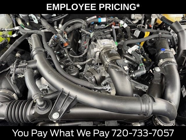 New 2026 Marsh Gray Ford Outer Banks® image 24