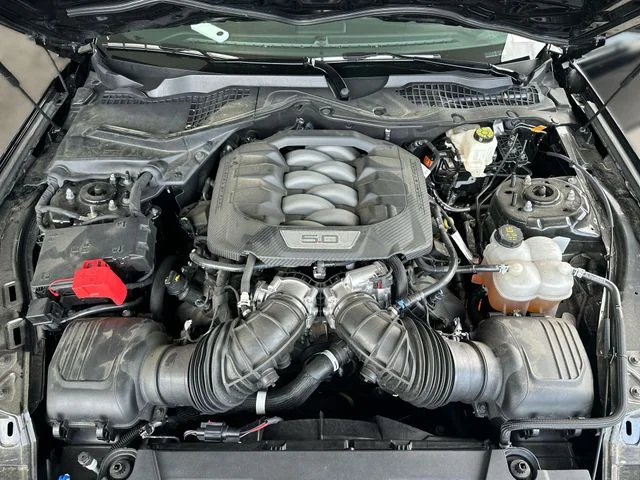 Used 2025 Black Ford GT image 27