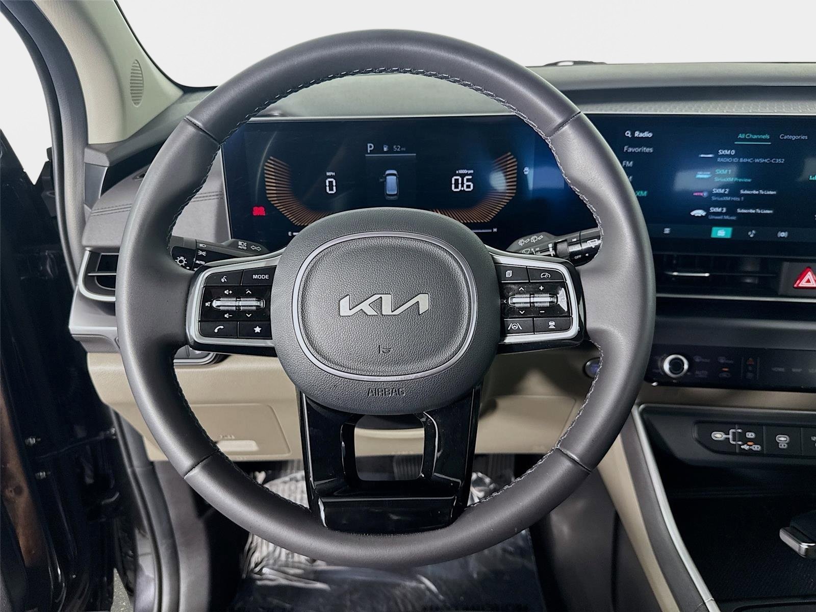 Used 2025 Panthera Metal Kia LXS image 12