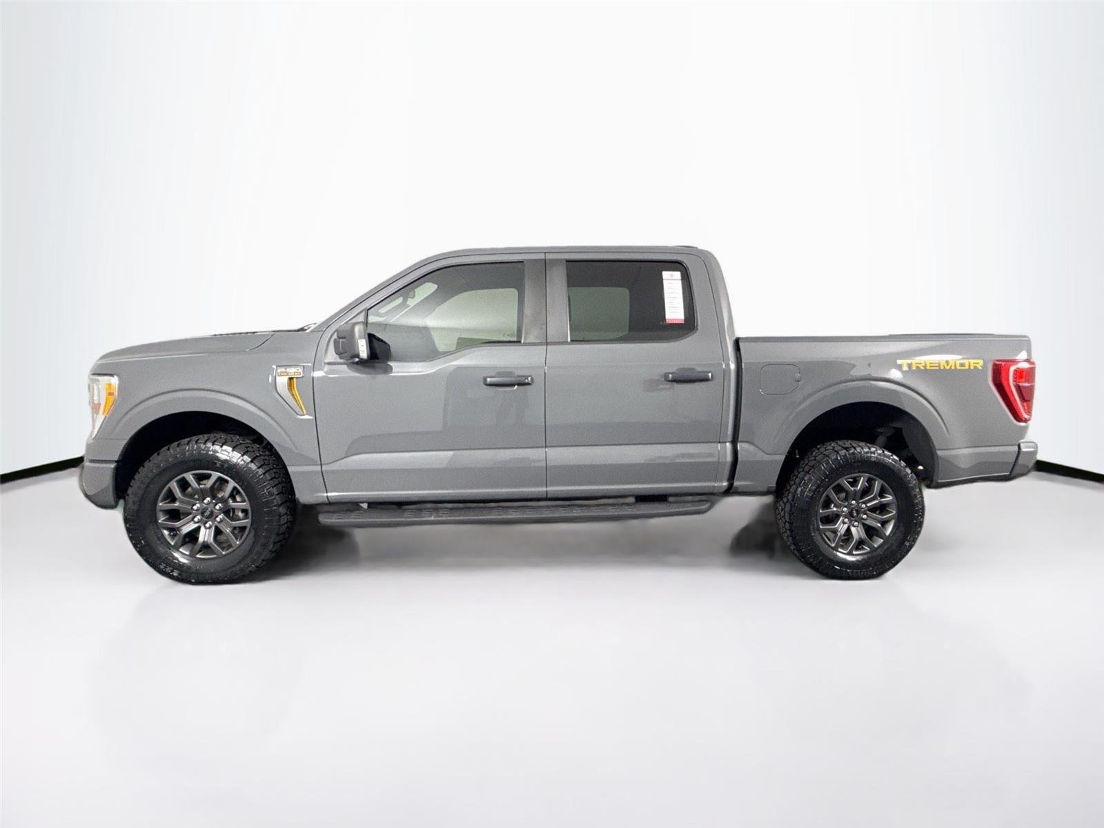 2021 Ford F-150 Tremor - Photo 9