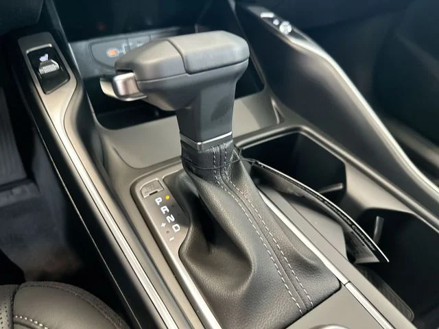 New 2026 Panthera Metal Kia S image 23