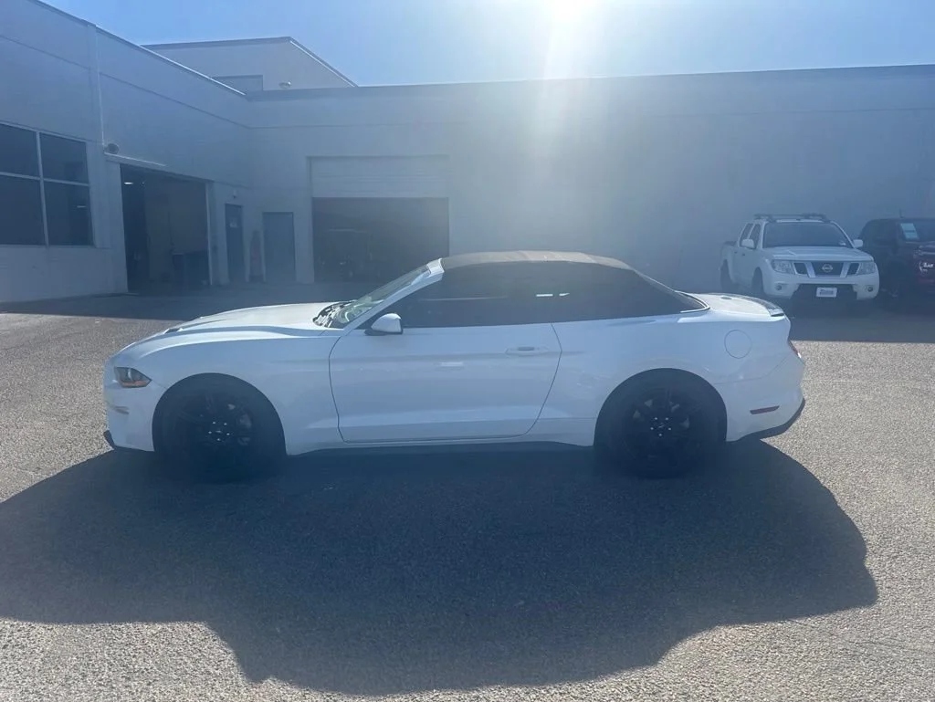 2019 Ford Mustang EcoBoost Convertible's photo