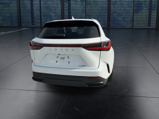 Certified Used 2025 White Lexus 250 Premium image 7
