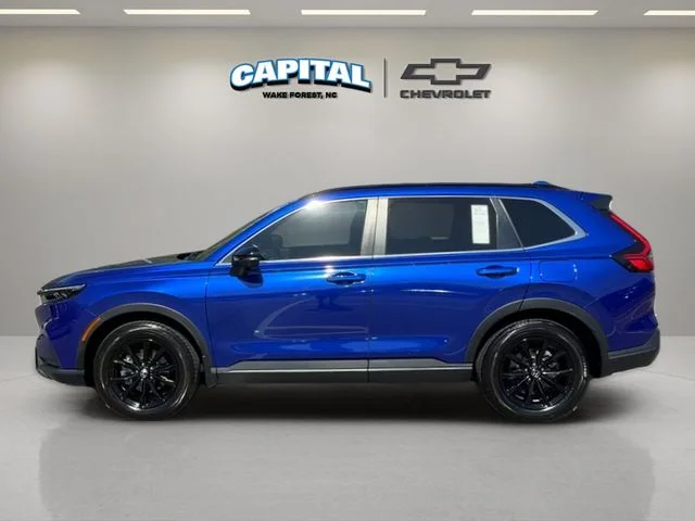 Used 2024 Blue Honda Sport image 2