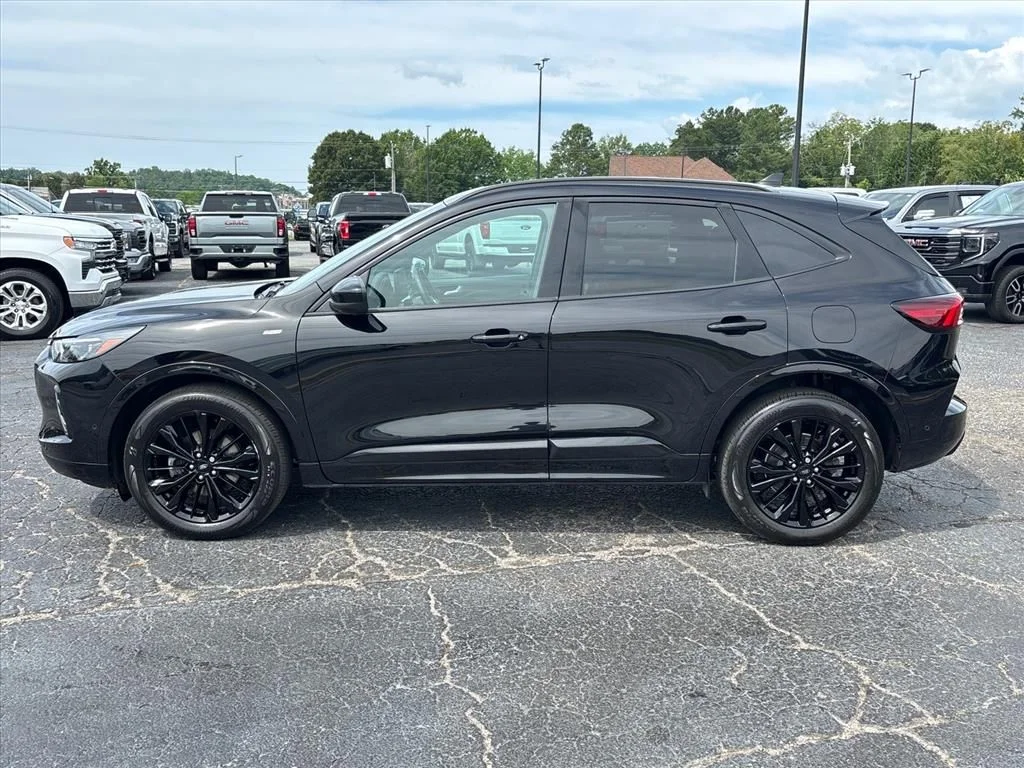 Used 2023 Black Ford ST-Line Elite image 4