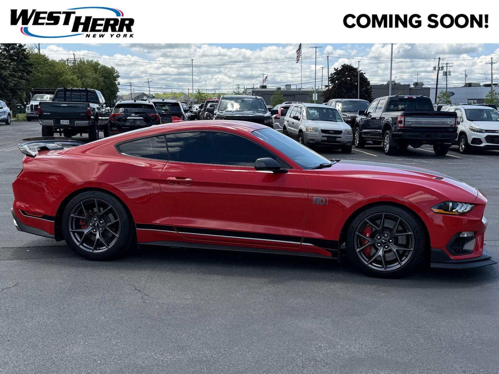 2021 Ford Mustang Mach 1's photo