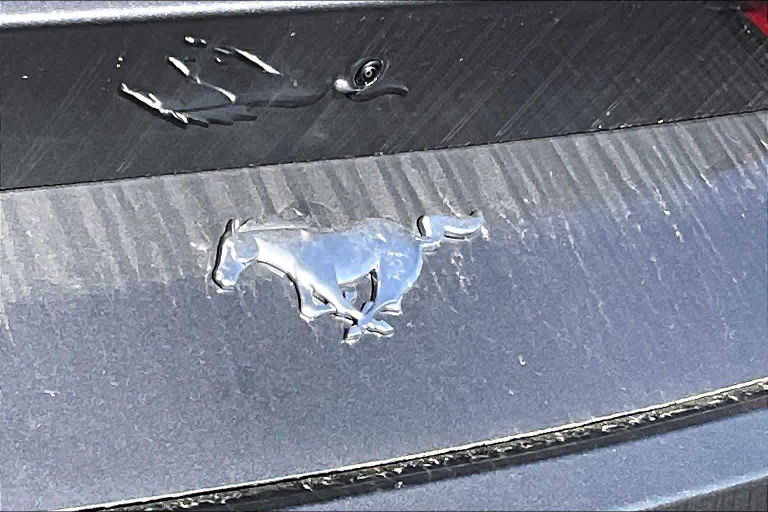 New 2026 Carbonized Gray Metallic Ford EcoBoost® Fastback image 14