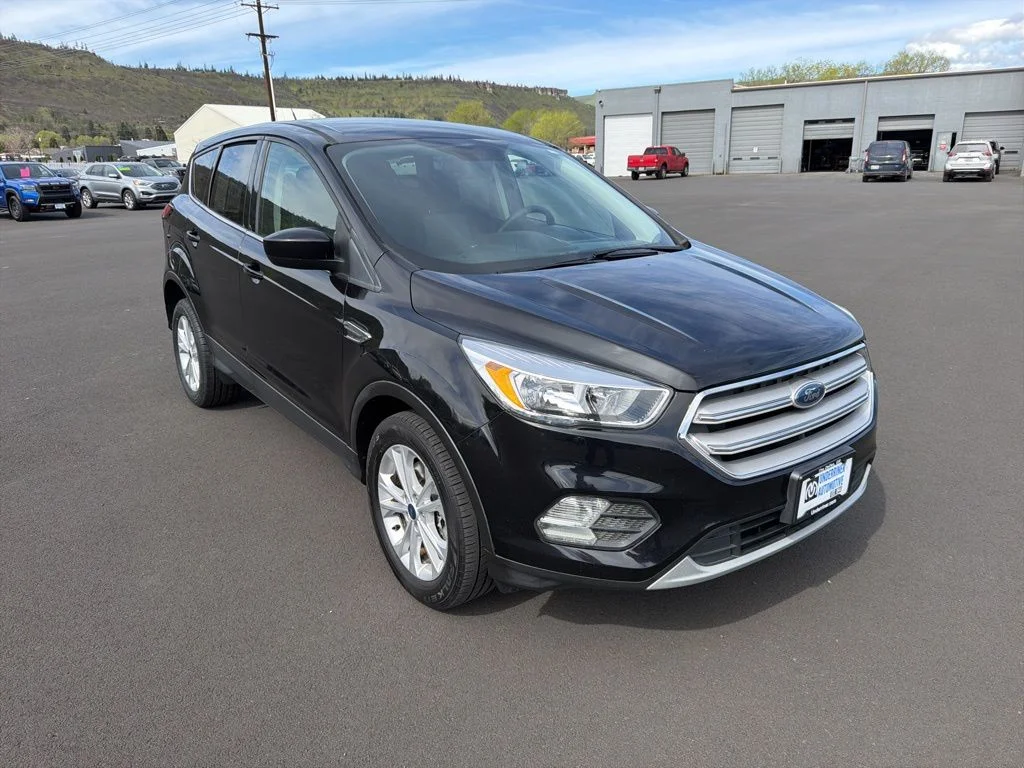 2019 Ford Escape SE 4WD's photo