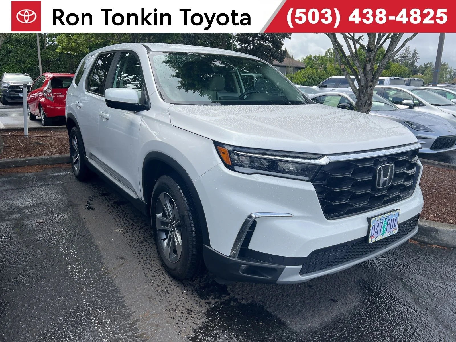 2024 Honda Pilot EX-L 8-Occupant AWD's photo