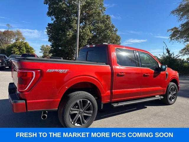 Used 2023 Red Ford XLT image 12
