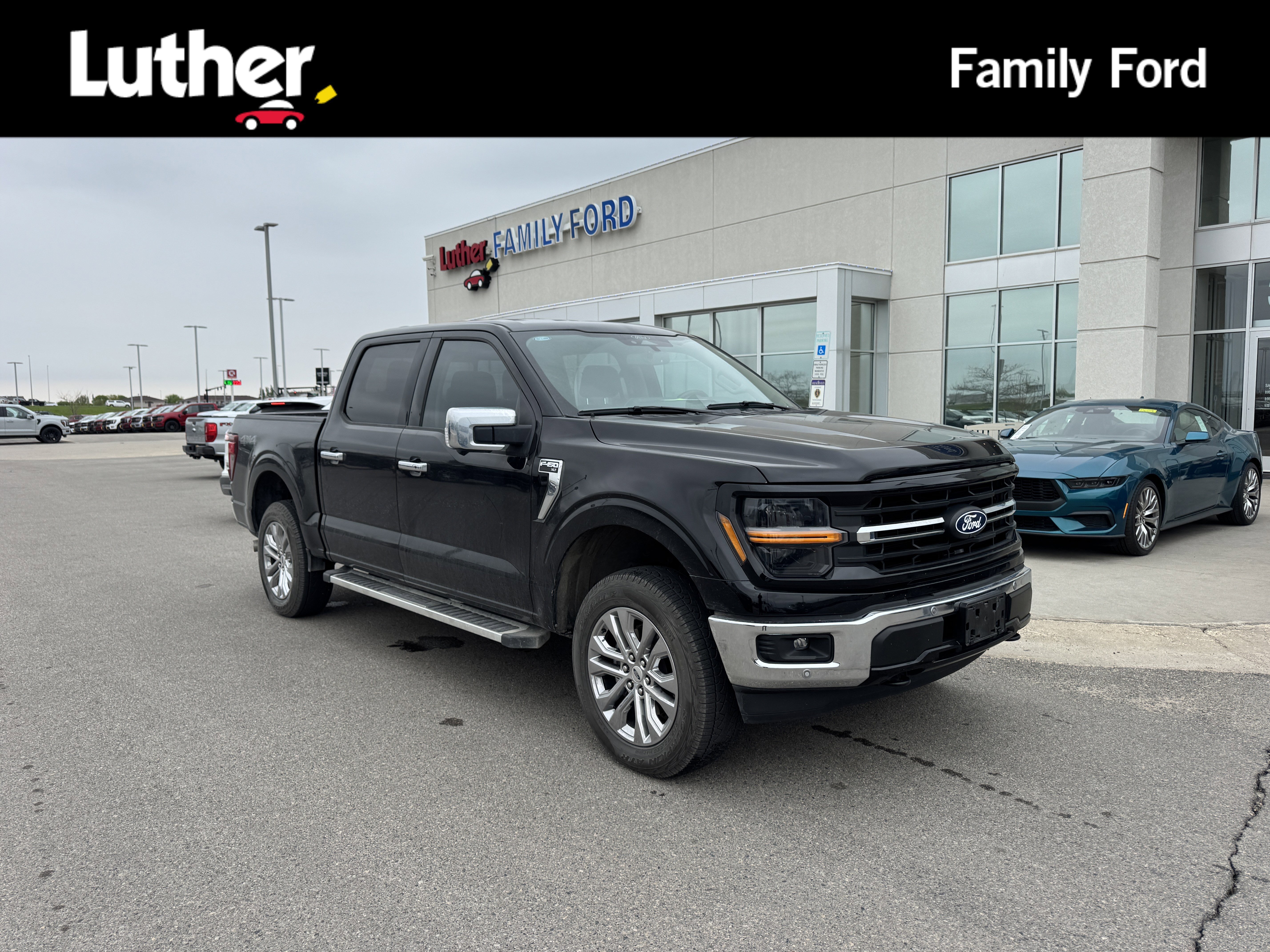 2024 Ford F-150 XLT 4x4 SuperCrew 5-1/2 Box's photo