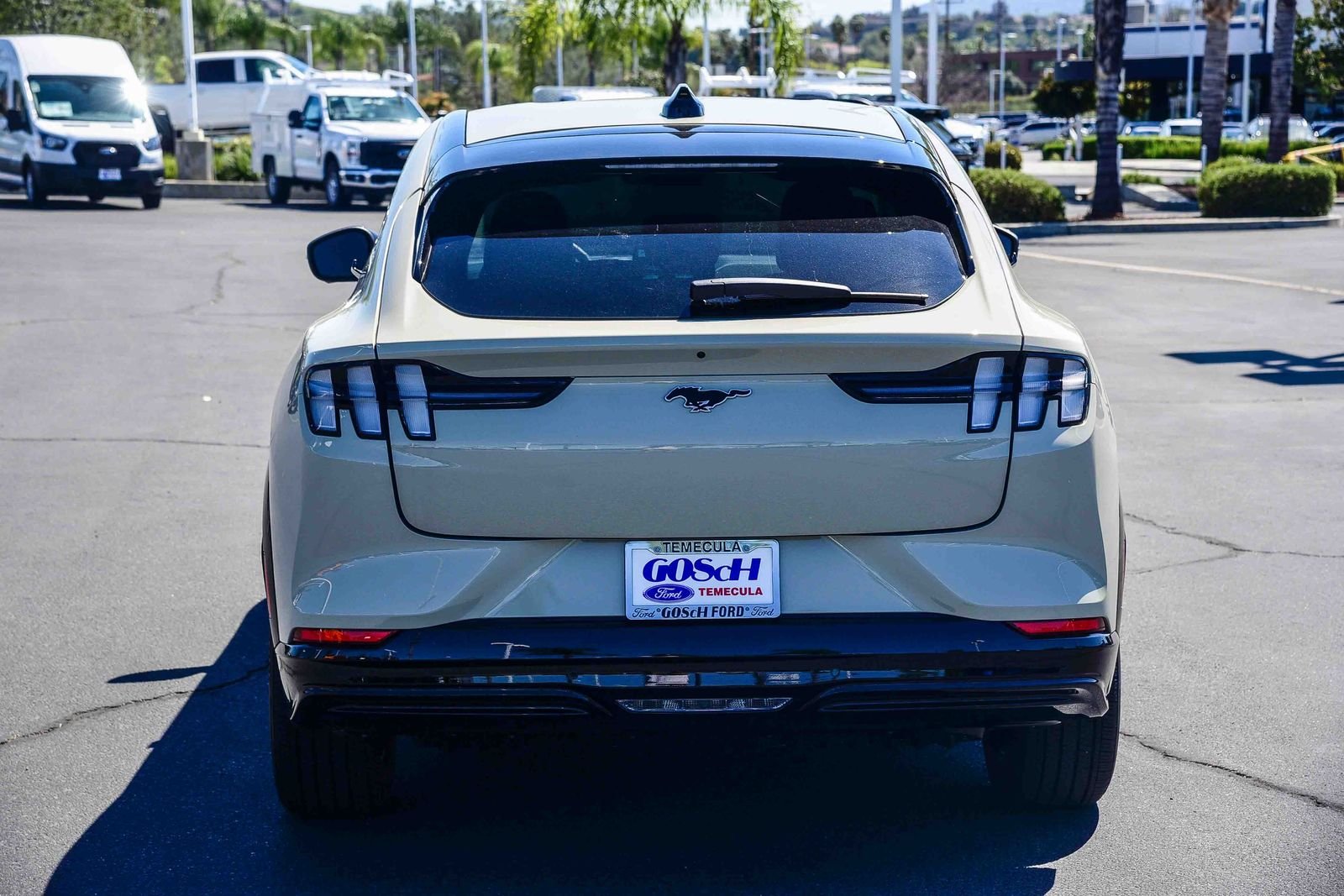 New 2026 Desert Sand Ford Premium image 5