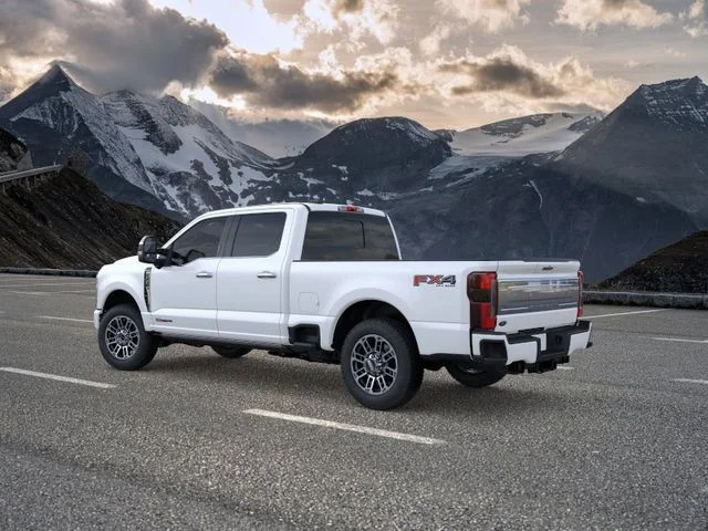 New 2026 White Metallic Ford Platinum image 4