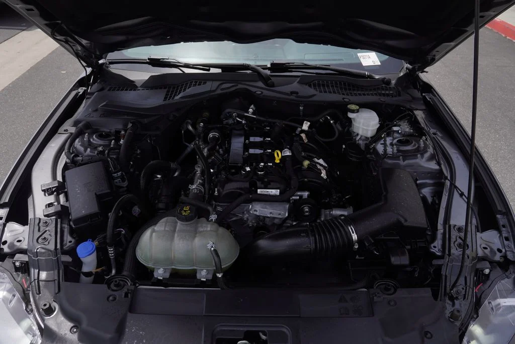Used 2022 Gray Ford EcoBoost image 14