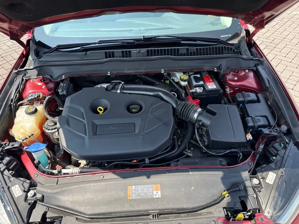 Used 2016 Red Ford SE image 11