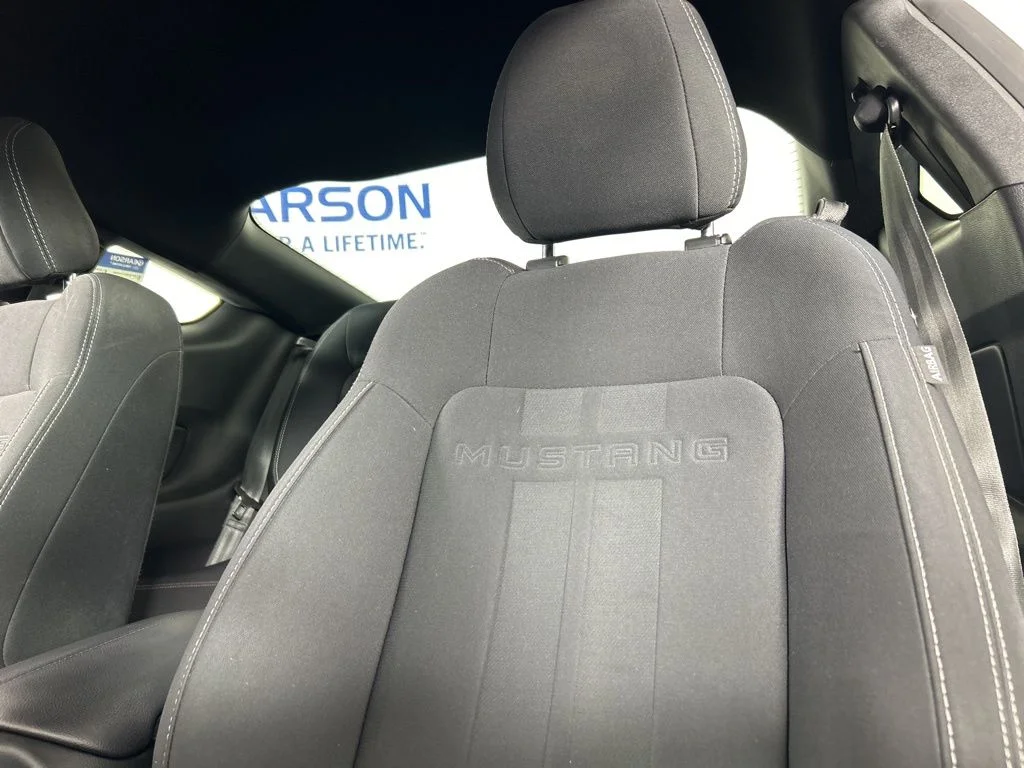 2019 Ford Mustang GT - Photo 31