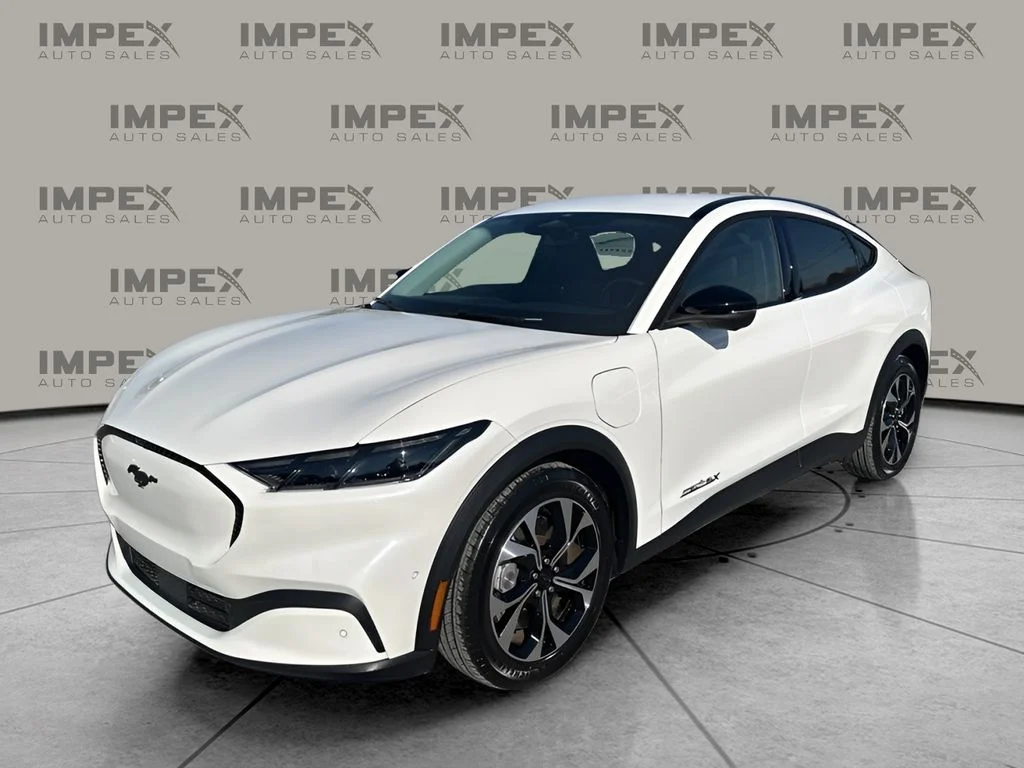 Used 2024 White Ford Select image 1