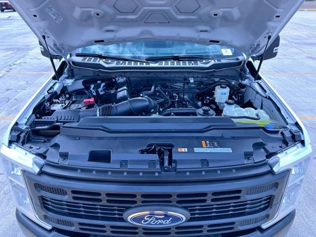 New 2026 OXFORD WHITE Ford XL image 12