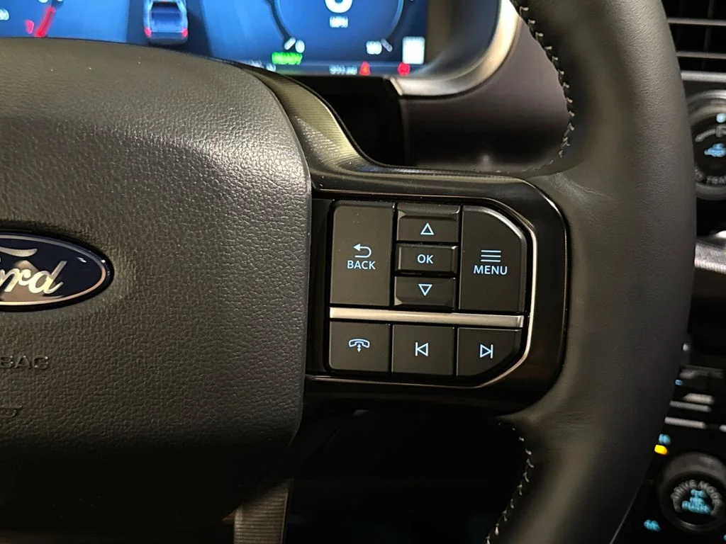 New 2026 Gray Ford Platinum image 41