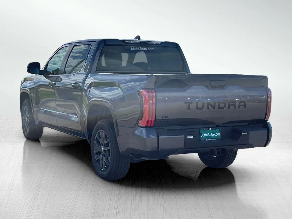 New 2026 Magnetic Gray Metallic Toyota Platinum image 5