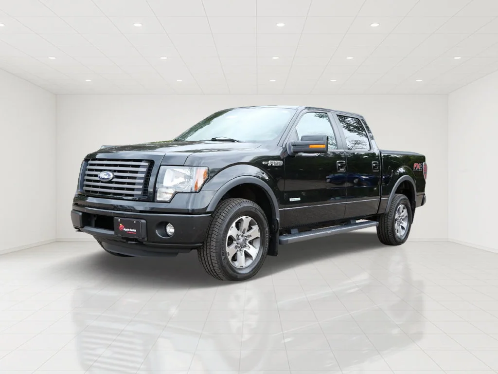 Used 2012 Ford F-150 FX4 with VIN 1FTFW1ET2CKD93140 for sale in White Bear Lake, Minnesota