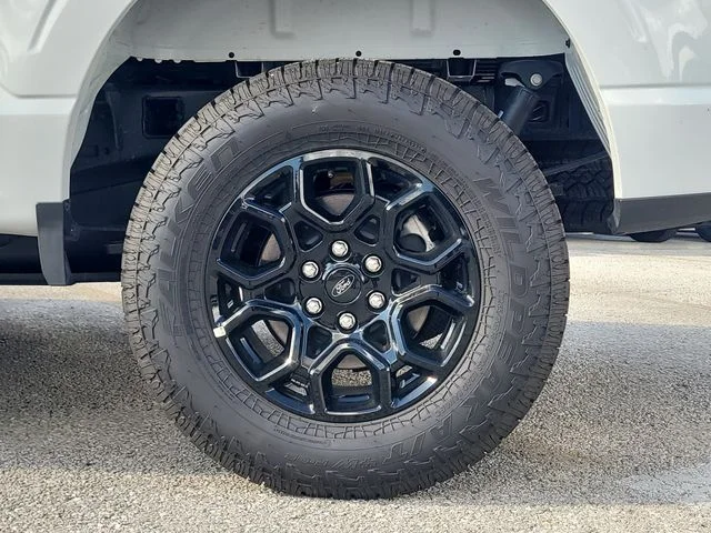 New 2026 Oxford White Ford XLT image 8