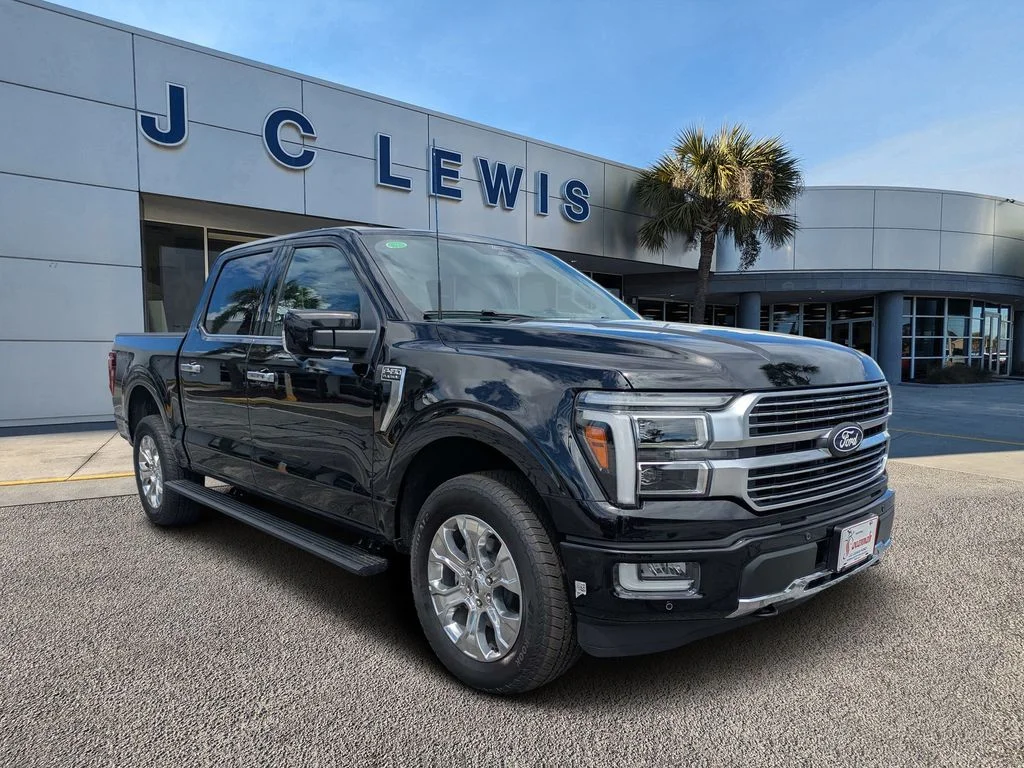New 2026 Agate Black Metallic Ford Platinum image 1