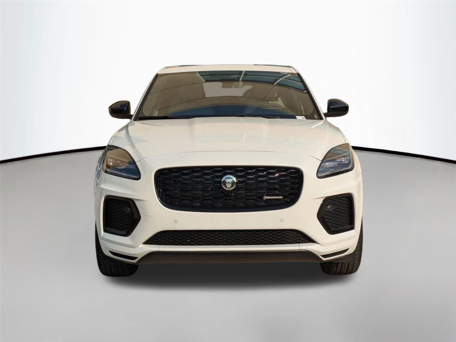 Used 2024 WHITE JAGUAR  image 2