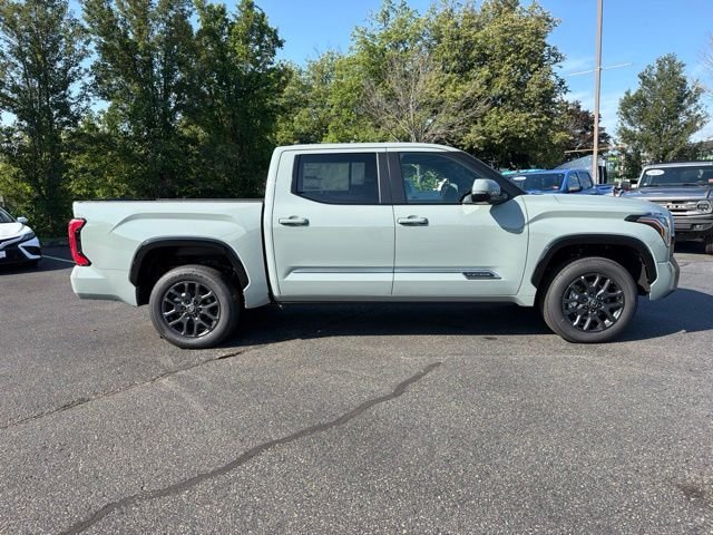 New 2026 Lunar Rock Toyota  Platinum image 5