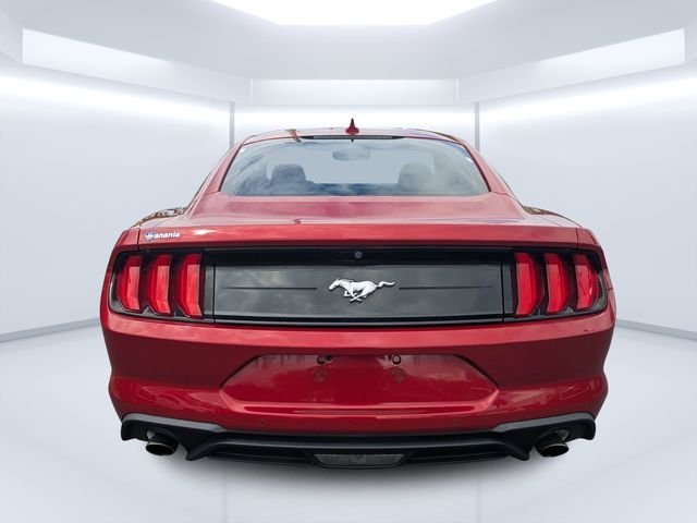 Used 2022 Red Ford EcoBoost image 4
