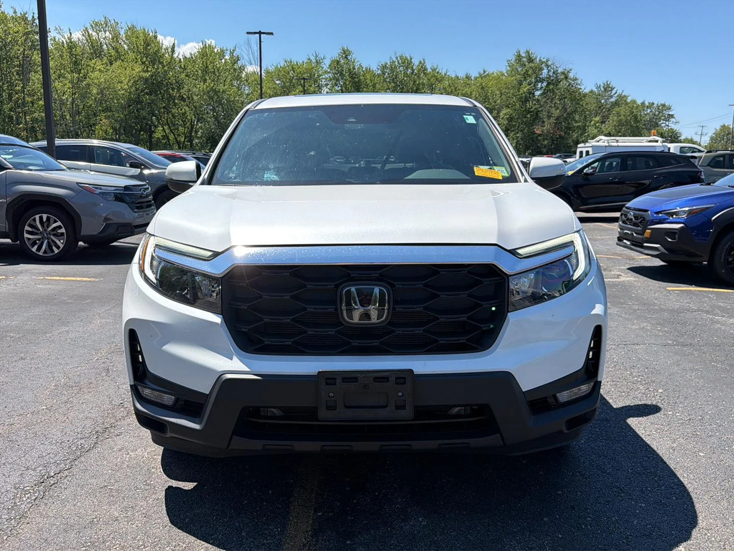 Used 2024 Platinum White Pearl Honda EX-L image 13