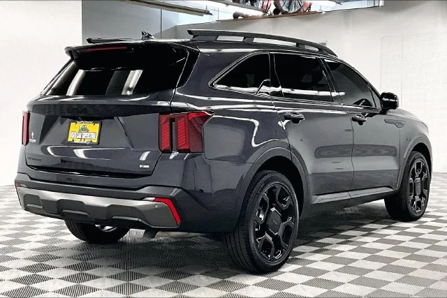 Used 2025 Panthera Metal Kia X-Line SX image 13