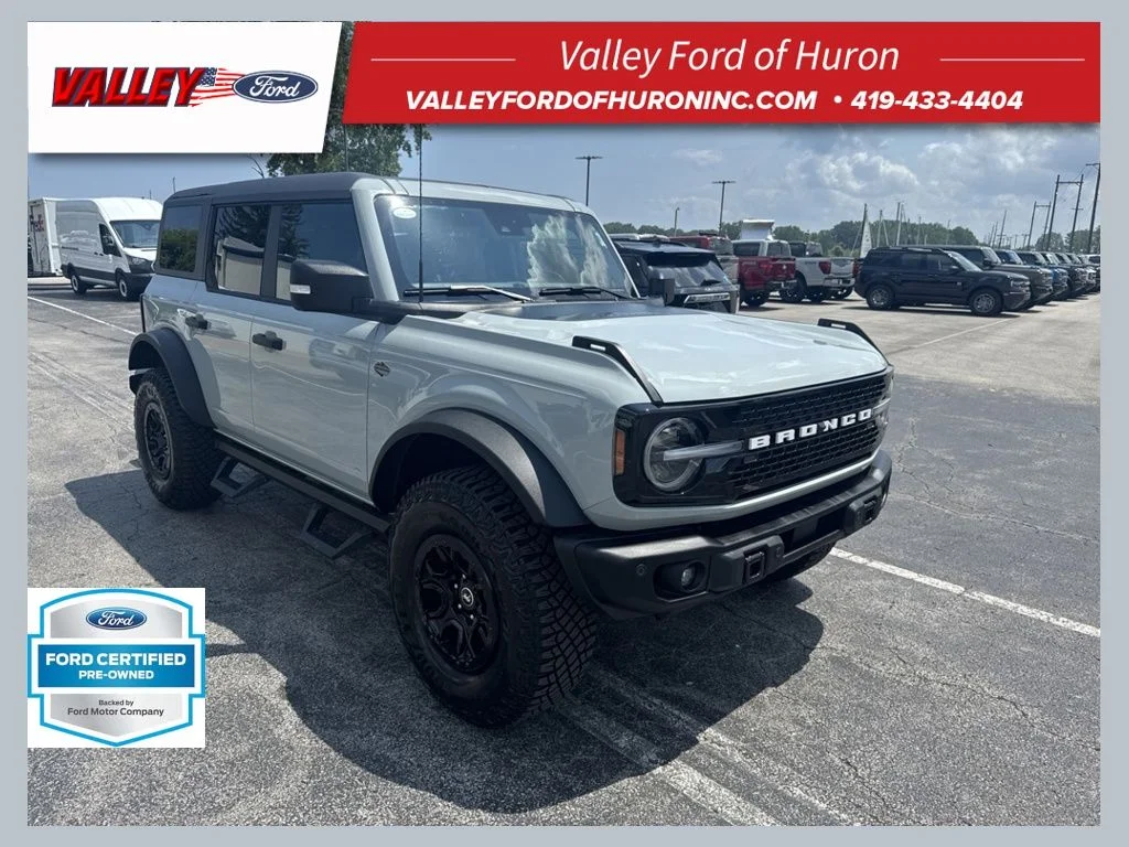 Used 2023 Gray Ford Wildtrak image 1