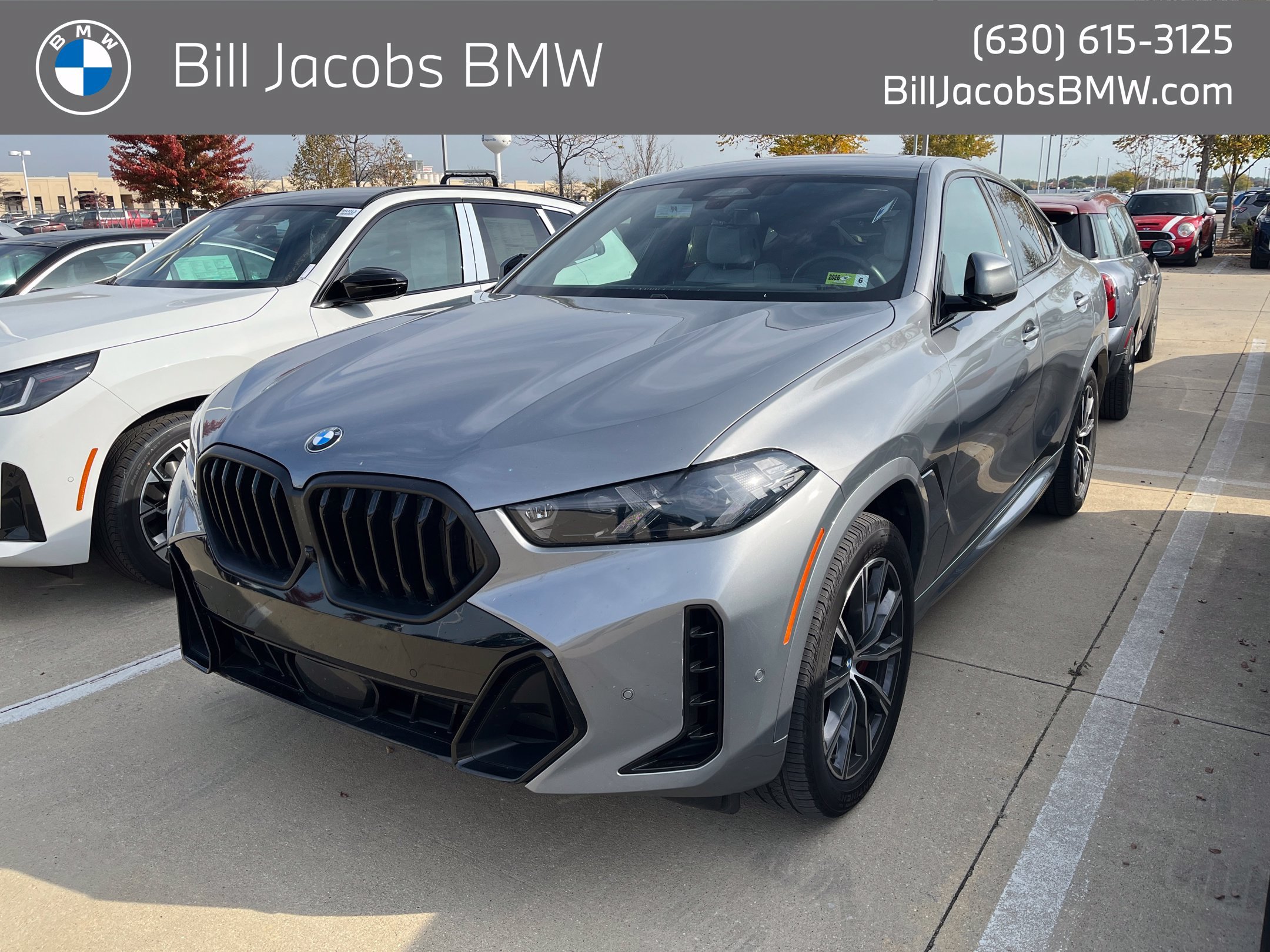 2024 BMW X6