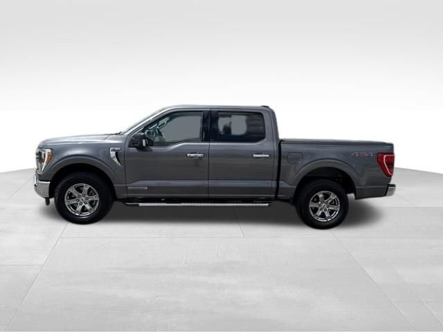 Used 2023 Gray Ford XLT image 5