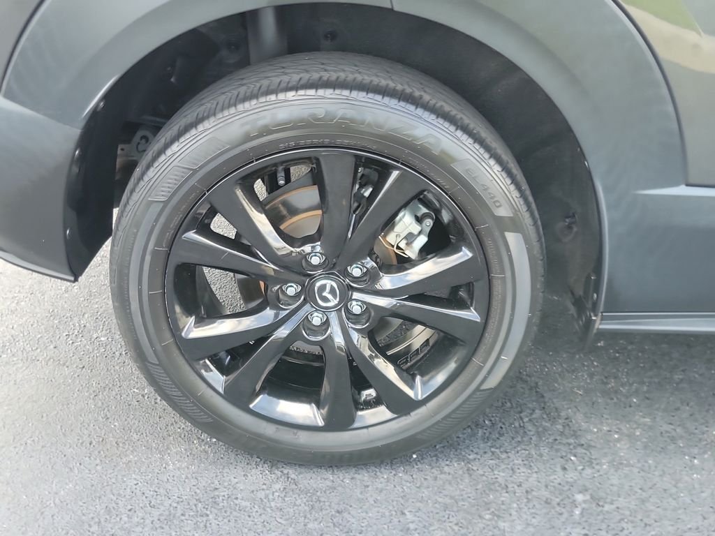 Photo 5