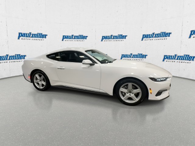 New 2026 Oxford White Ford EcoBoost® Fastback image 13