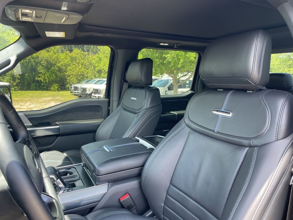 2025 Ford F-150 Platinum - Photo 9