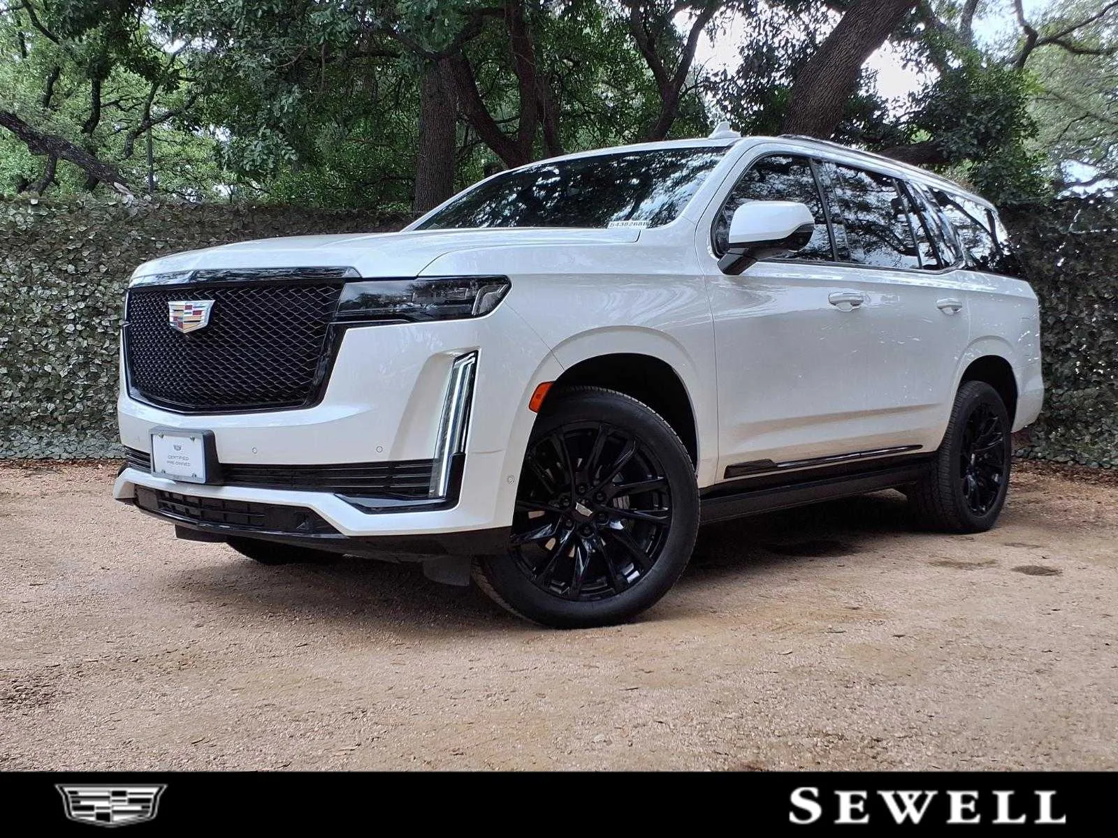 2023 Cadillac Escalade 4WD Sport Platinum's photo