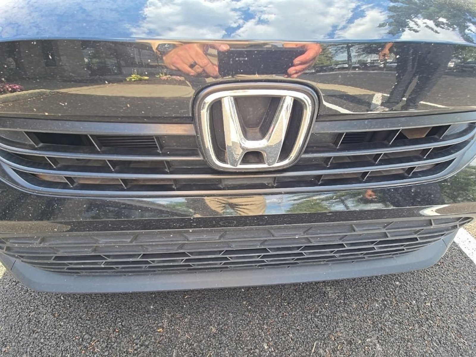 Used 2024 Crystal Black Pearl Honda LX image 5
