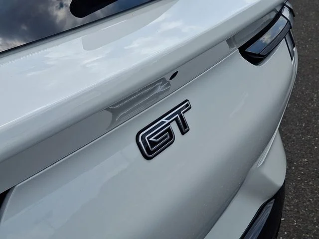 2025 Ford Mustang Mach-E GT - Photo 15
